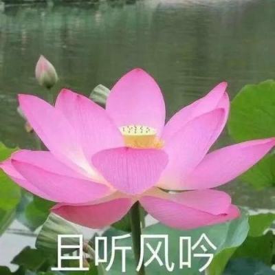联播快讯：首届北京市冰上龙舟大赛今天举行